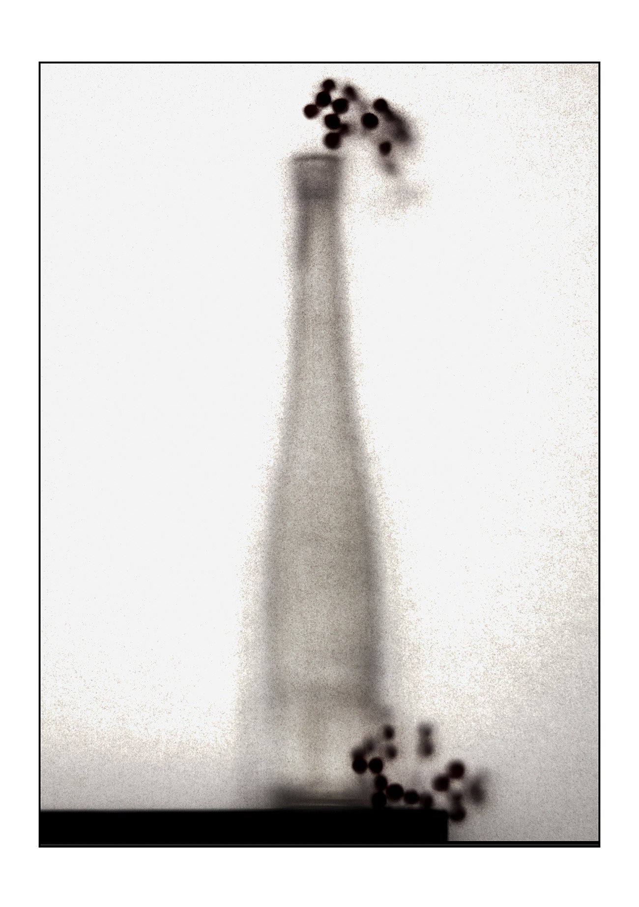THE JABARA BOOK Vol.05 Flowers - 2 (10 photos)