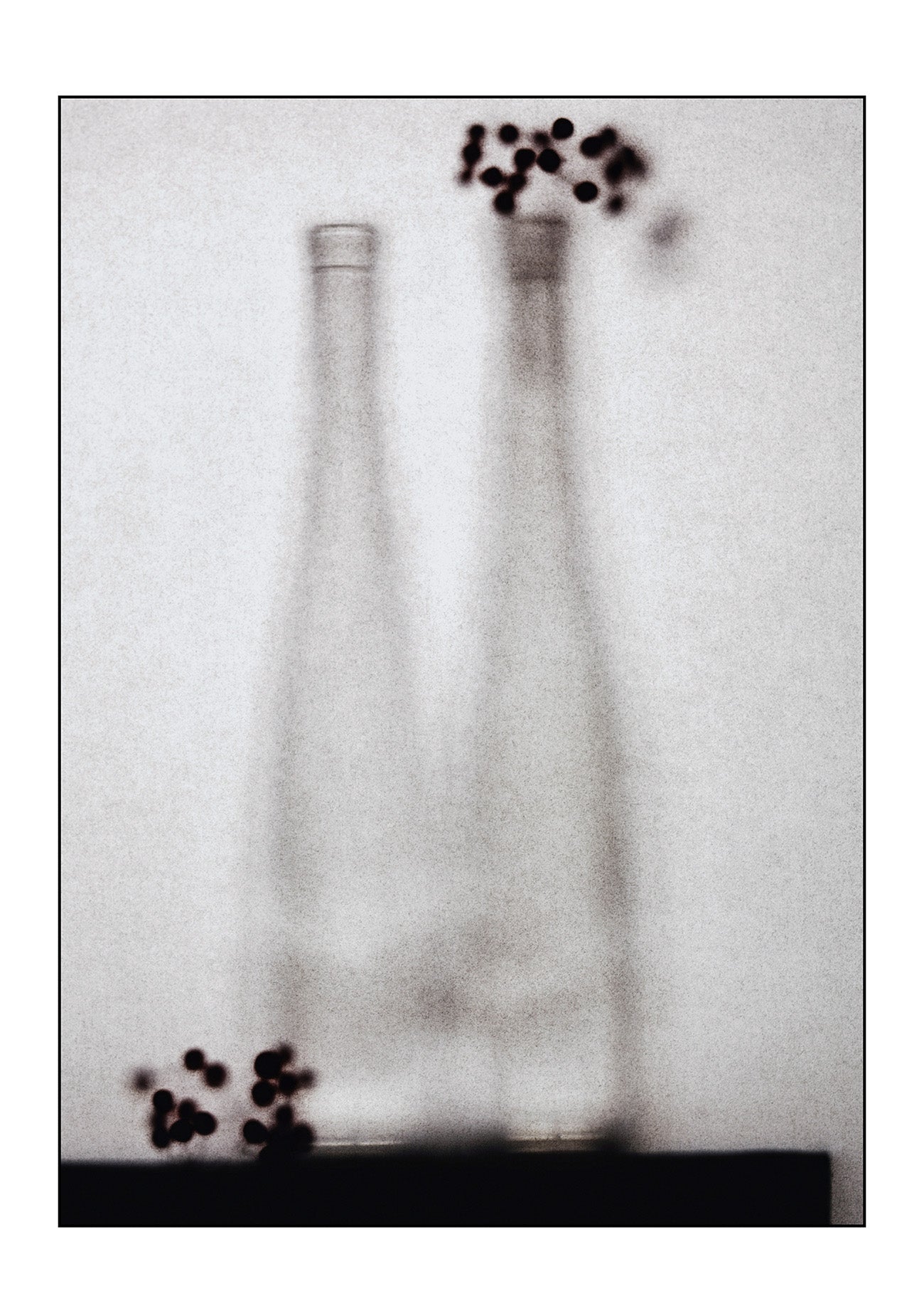 THE JABARA BOOK Vol.05 Flowers - 2 (10 photos)